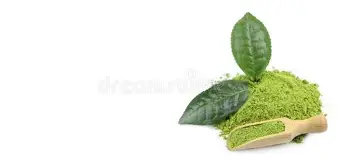 MATCHA SET GREEN LEAVES