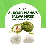 MANWA SALWA PLAN
