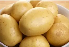 JIVAN POTATO
