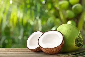 COCONUT FRESH