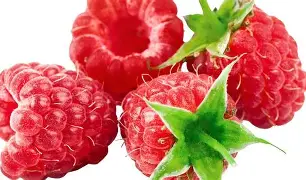 frullo raspberry