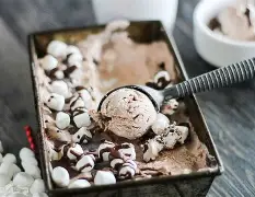 ice cream chocolate freezed