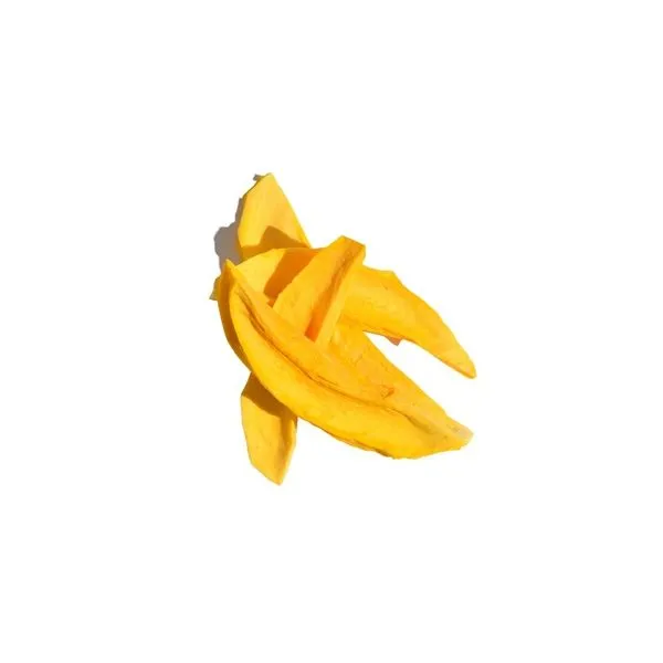 FREEZE DRIED MANGO 30 G
